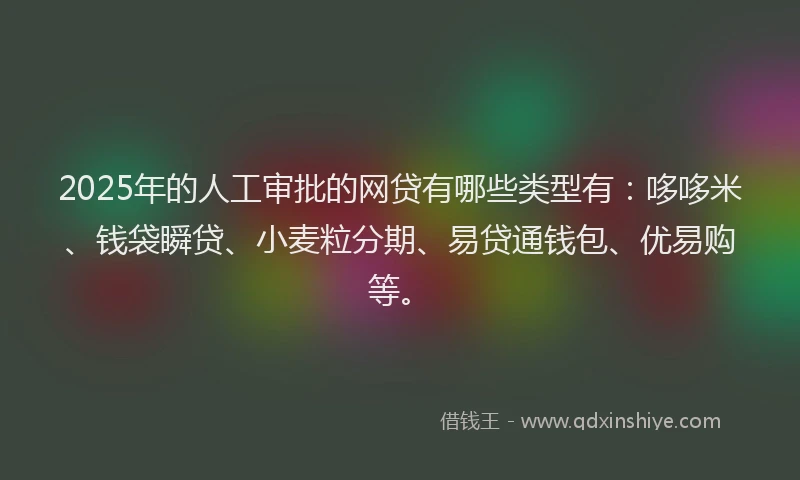 2025年的人工审批的网贷有哪些类型有：哆哆米、钱袋瞬贷、小麦粒分期、易贷通钱包、优易购等。