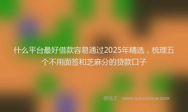 什么平台最好借款容易通过2025年精选，梳理五个不用面签和芝麻分的贷款口子