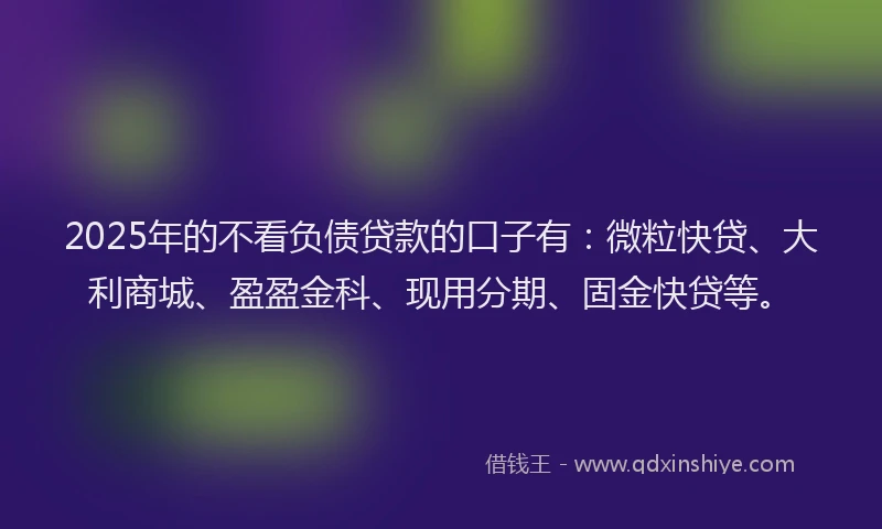 2025年的不看负债贷款的口子有：微粒快贷、大利商城、盈盈金科、现用分期、固金快贷等。