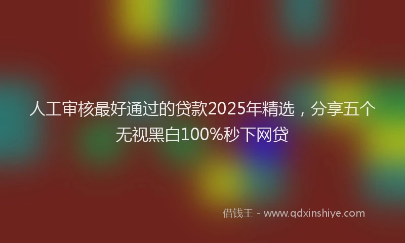 人工审核最好通过的贷款2025年精选，分享五个无视黑白100%秒下网贷