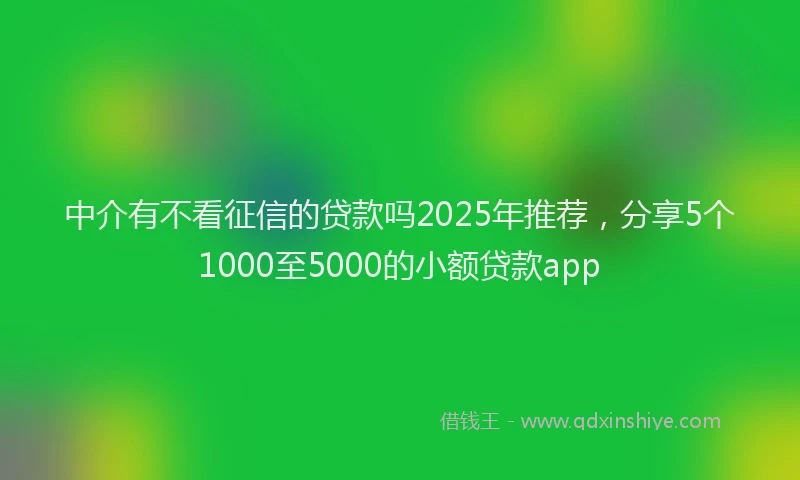 中介有不看征信的贷款吗2025年推荐，分享5个1000至5000的小额贷款app