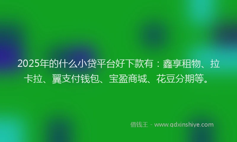 2025年的什么小贷平台好下款有：鑫享租物、拉卡拉、翼支付钱包、宝盈商城、花豆分期等。