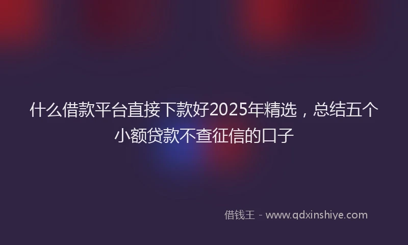 什么借款平台直接下款好2025年精选，总结五个小额贷款不查征信的口子