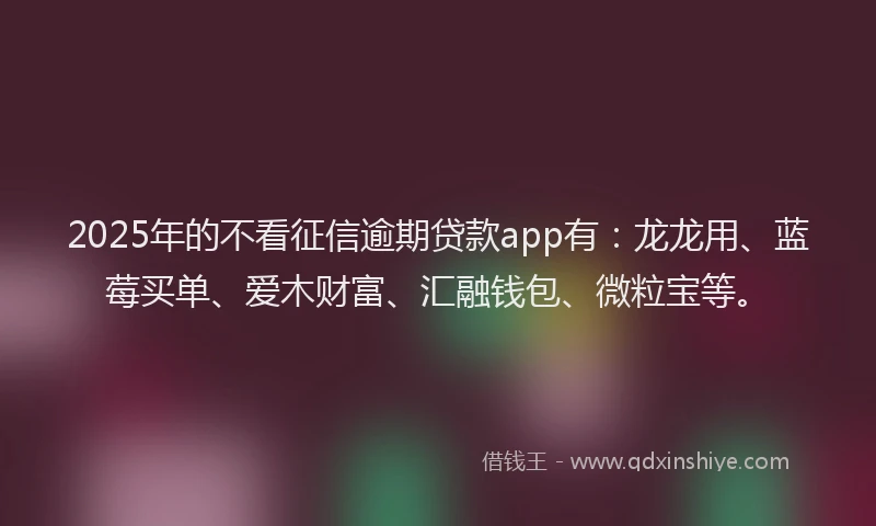 2025年的不看征信逾期贷款app有：龙龙用、蓝莓买单、爱木财富、汇融钱包、微粒宝等。