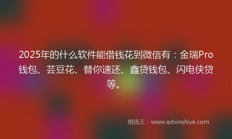 2025年的什么软件能借钱花到微信有：金瑞Pro钱包、芸豆花、替你速还、鑫贷钱包、闪电侠贷等。