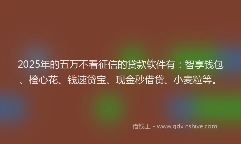 2025年的五万不看征信的贷款软件有：智享钱包、橙心花、钱速贷宝、现金秒借贷、小麦粒等。
