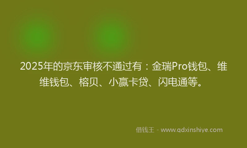 2025年的京东审核不通过有：金瑞Pro钱包、维维钱包、榕贝、小赢卡贷、闪电通等。