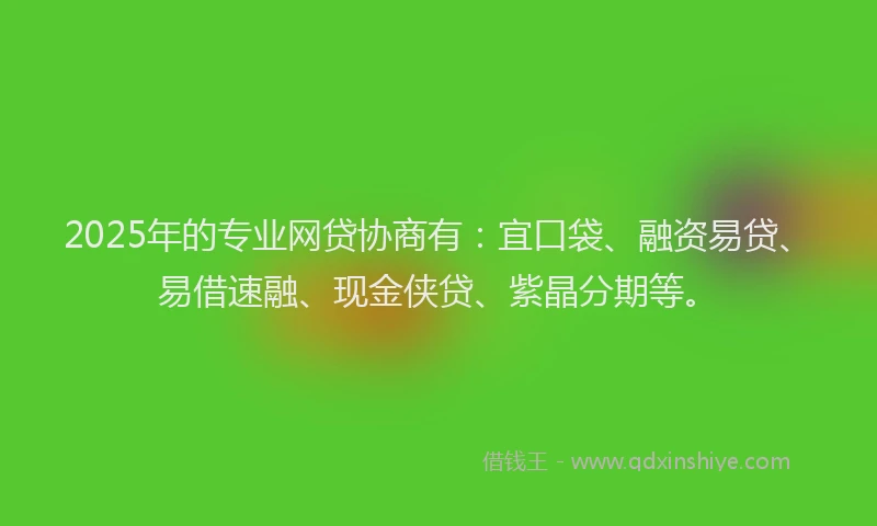 2025年的专业网贷协商有：宜口袋、融资易贷、易借速融、现金侠贷、紫晶分期等。