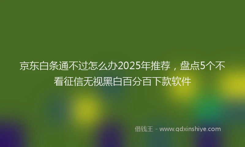 京东白条通不过怎么办2025年推荐，盘点5个不看征信无视黑白百分百下款软件