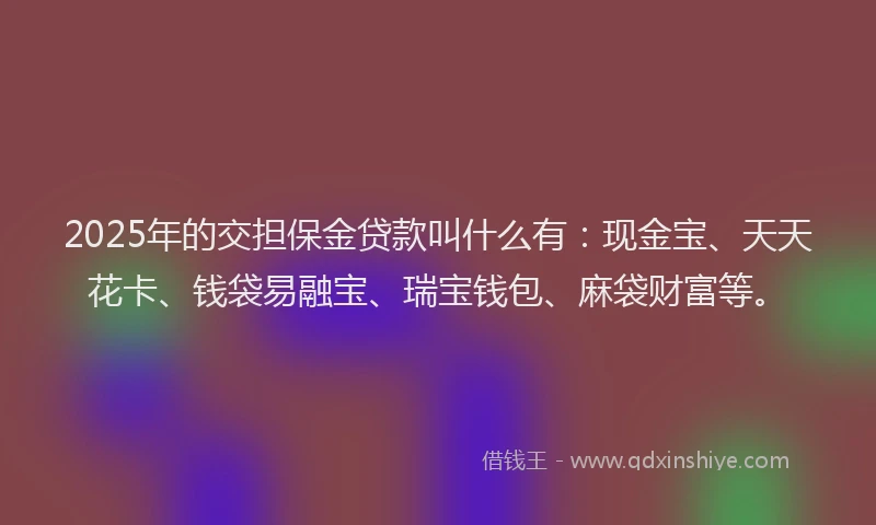 2025年的交担保金贷款叫什么有：现金宝、天天花卡、钱袋易融宝、瑞宝钱包、麻袋财富等。