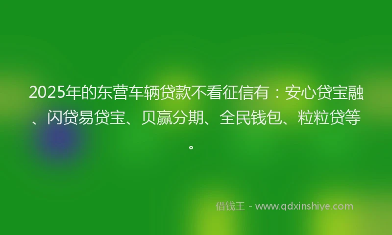 2025年的东营车辆贷款不看征信有：安心贷宝融、闪贷易贷宝、贝赢分期、全民钱包、粒粒贷等。