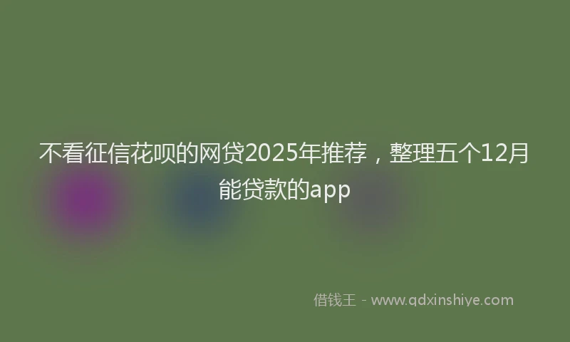 不看征信花呗的网贷2025年推荐，整理五个12月能贷款的app