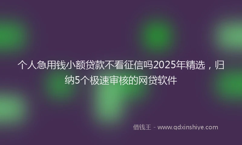 个人急用钱小额贷款不看征信吗2025年精选，归纳5个极速审核的网贷软件