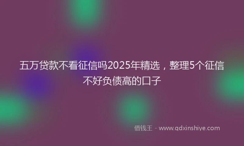 五万贷款不看征信吗2025年精选，整理5个征信不好负债高的口子