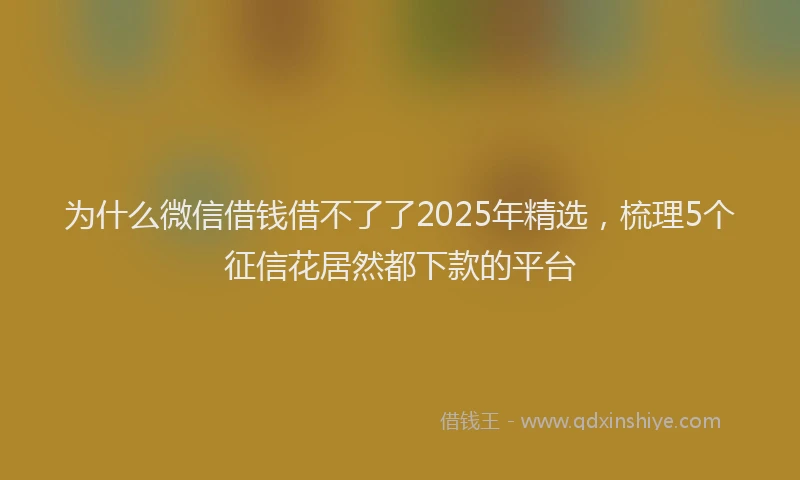 为什么微信借钱借不了了2025年精选，梳理5个征信花居然都下款的平台