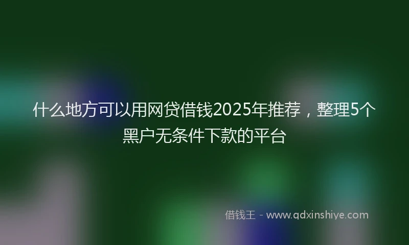 什么地方可以用网贷借钱2025年推荐，整理5个黑户无条件下款的平台