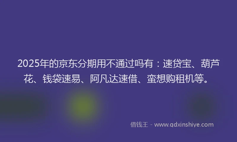 2025年的京东分期用不通过吗有：速贷宝、葫芦花、钱袋速易、阿凡达速借、蛮想购租机等。