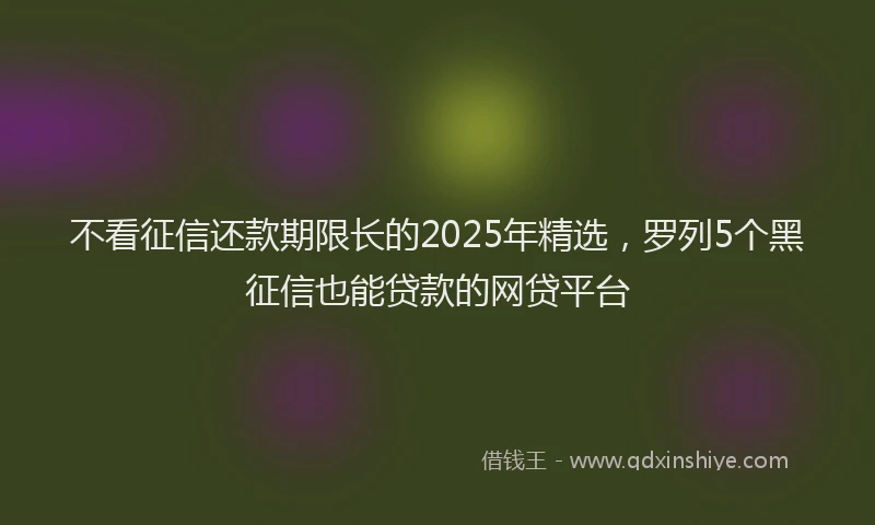 不看征信还款期限长的2025年精选，罗列5个黑征信也能贷款的网贷平台