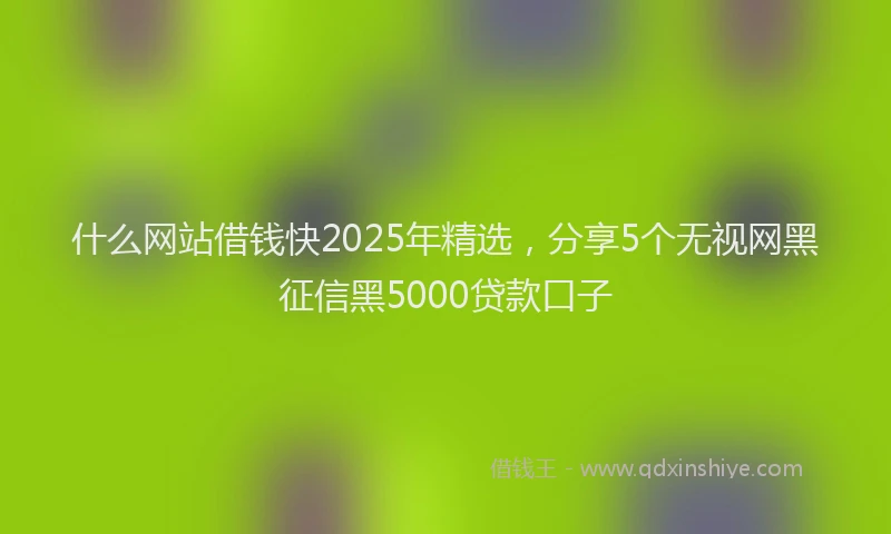 什么网站借钱快2025年精选，分享5个无视网黑征信黑5000贷款口子