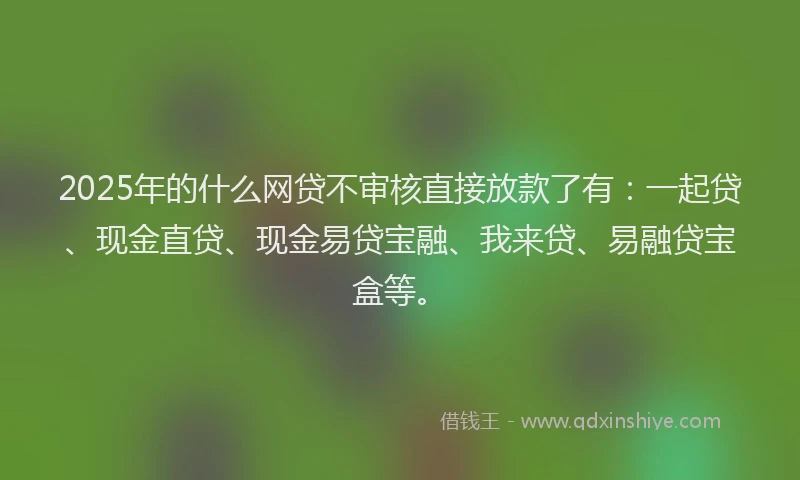 2025年的什么网贷不审核直接放款了有：一起贷、现金直贷、现金易贷宝融、我来贷、易融贷宝盒等。