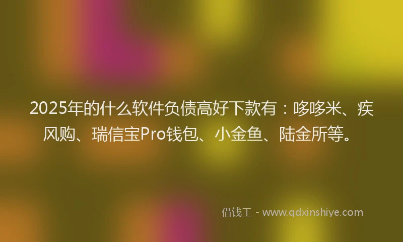 2025年的什么软件负债高好下款有：哆哆米、疾风购、瑞信宝Pro钱包、小金鱼、陆金所等。