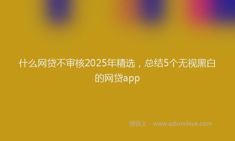 什么网贷不审核2025年精选，总结5个无视黑白的网贷app