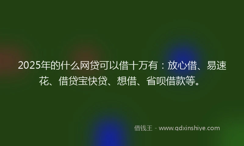 2025年的什么网贷可以借十万有：放心借、易速花、借贷宝快贷、想借、省呗借款等。