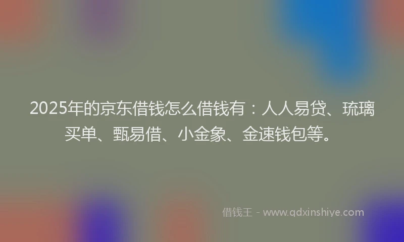 2025年的京东借钱怎么借钱有：人人易贷、琉璃买单、甄易借、小金象、金速钱包等。