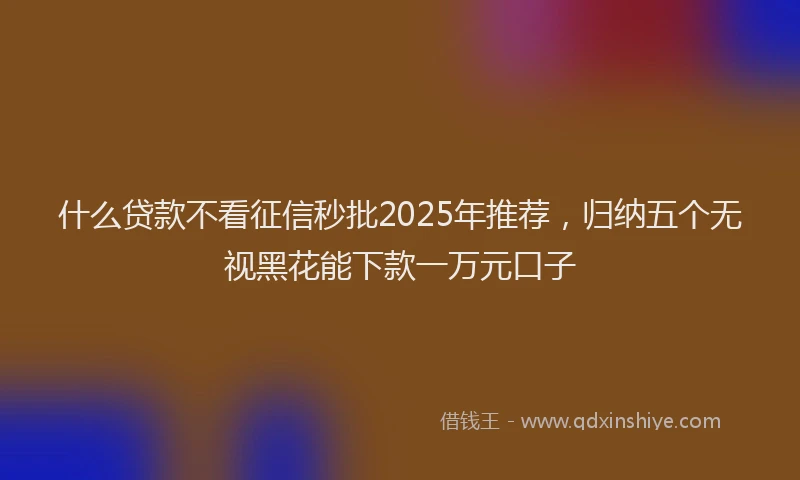什么贷款不看征信秒批2025年推荐，归纳五个无视黑花能下款一万元口子