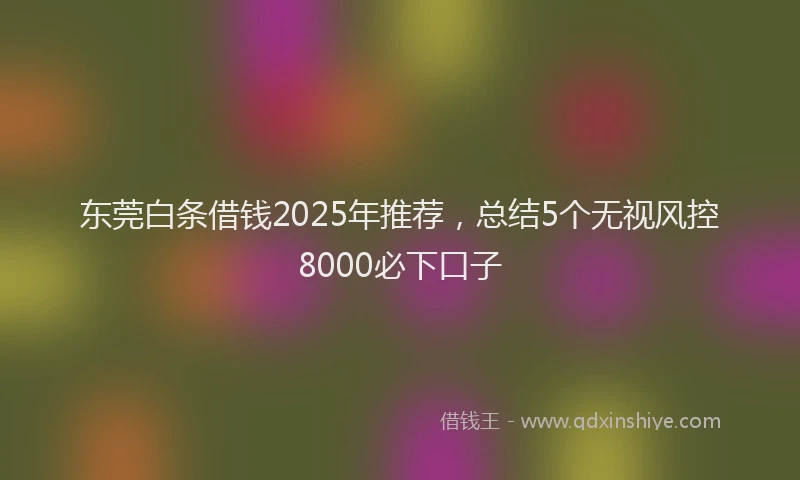 东莞白条借钱2025年推荐，总结5个无视风控8000必下口子