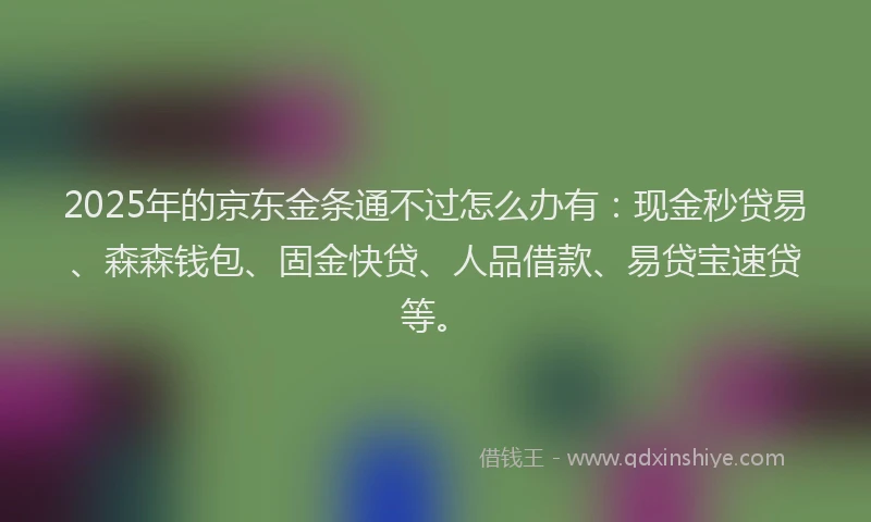 2025年的京东金条通不过怎么办有：现金秒贷易、森森钱包、固金快贷、人品借款、易贷宝速贷等。