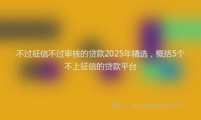 不过征信不过审核的贷款2025年精选，概括5个不上征信的贷款平台