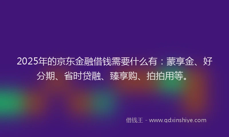 2025年的京东金融借钱需要什么有：蒙享金、好分期、省时贷融、臻享购、拍拍用等。