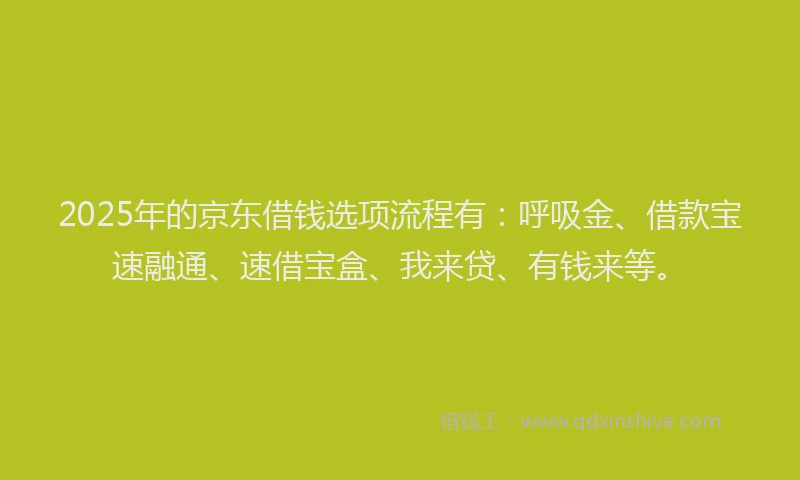 2025年的京东借钱选项流程有：呼吸金、借款宝速融通、速借宝盒、我来贷、有钱来等。