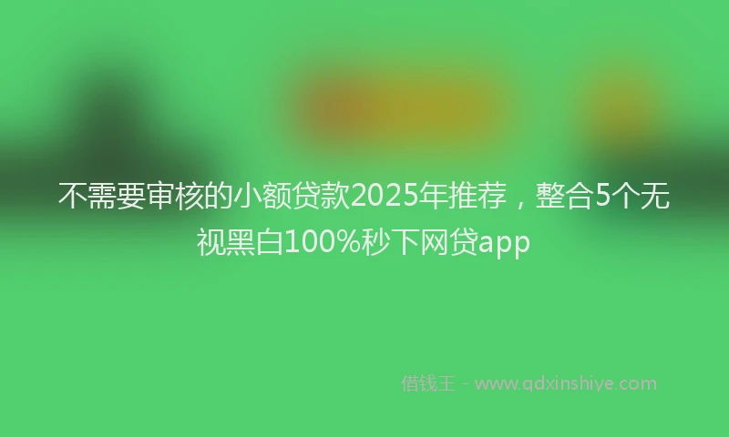 不需要审核的小额贷款2025年推荐，整合5个无视黑白100%秒下网贷app