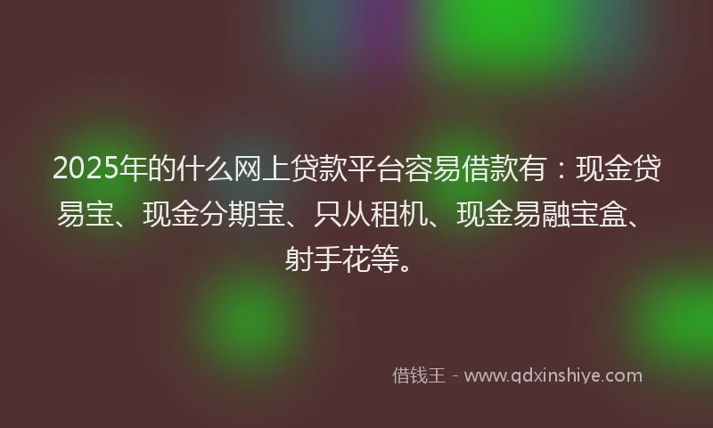 2025年的什么网上贷款平台容易借款有：现金贷易宝、现金分期宝、只从租机、现金易融宝盒、射手花等。