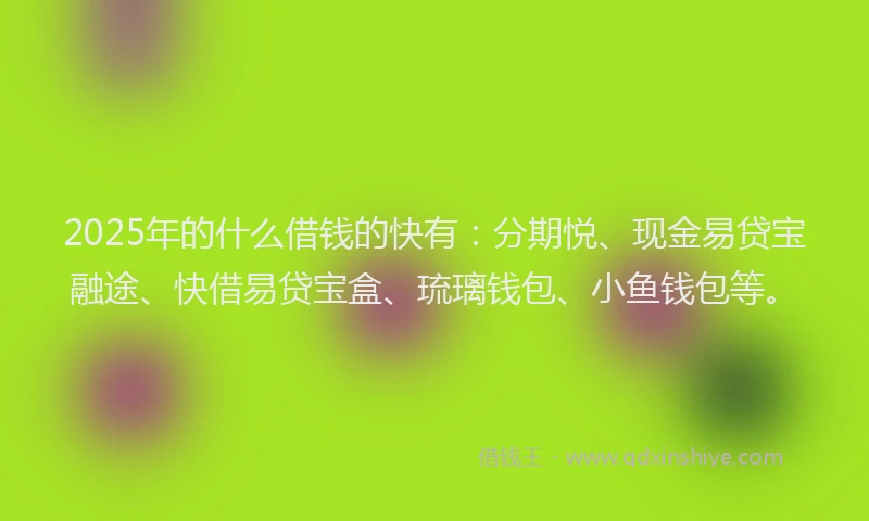 2025年的什么借钱的快有：分期悦、现金易贷宝融途、快借易贷宝盒、琉璃钱包、小鱼钱包等。