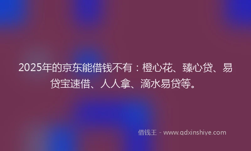 2025年的京东能借钱不有：橙心花、臻心贷、易贷宝速借、人人拿、滴水易贷等。