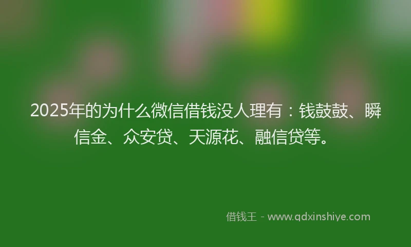 2025年的为什么微信借钱没人理有：钱鼓鼓、瞬信金、众安贷、天源花、融信贷等。