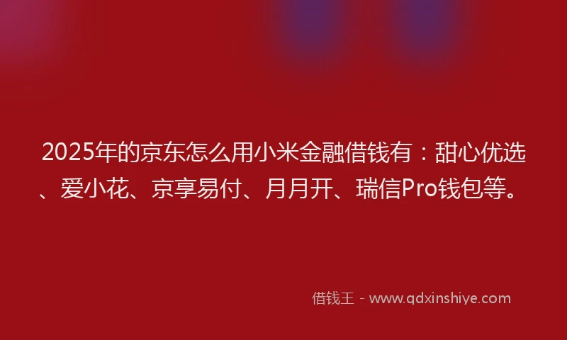 2025年的京东怎么用小米金融借钱有：甜心优选、爱小花、京享易付、月月开、瑞信Pro钱包等。