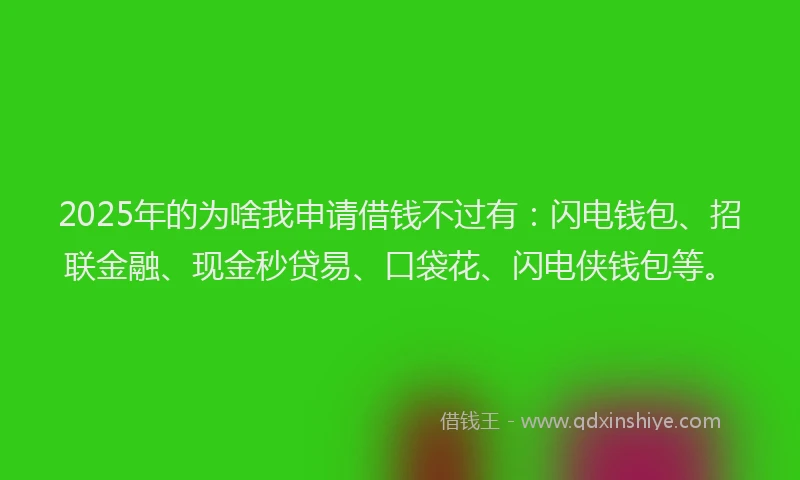 2025年的为啥我申请借钱不过有：闪电钱包、招联金融、现金秒贷易、口袋花、闪电侠钱包等。
