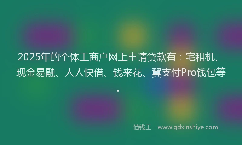 2025年的个体工商户网上申请贷款有：宅租机、现金易融、人人快借、钱来花、翼支付Pro钱包等。