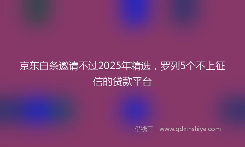 京东白条邀请不过2025年精选，罗列5个不上征信的贷款平台