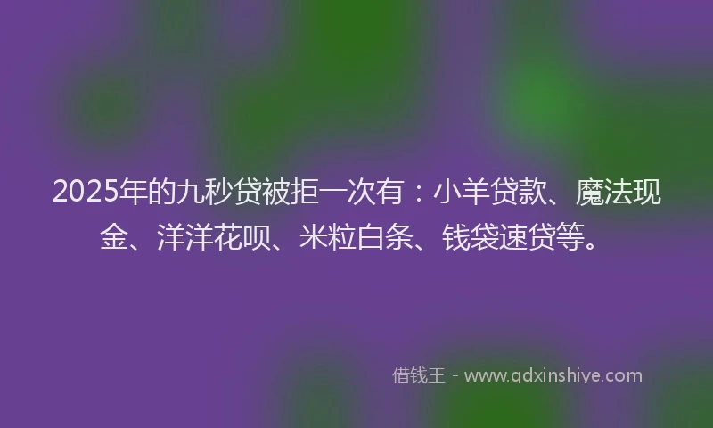2025年的九秒贷被拒一次有：小羊贷款、魔法现金、洋洋花呗、米粒白条、钱袋速贷等。