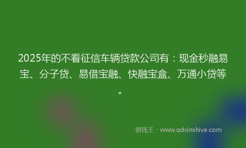 2025年的不看征信车辆贷款公司有：现金秒融易宝、分子贷、易借宝融、快融宝盒、万通小贷等。