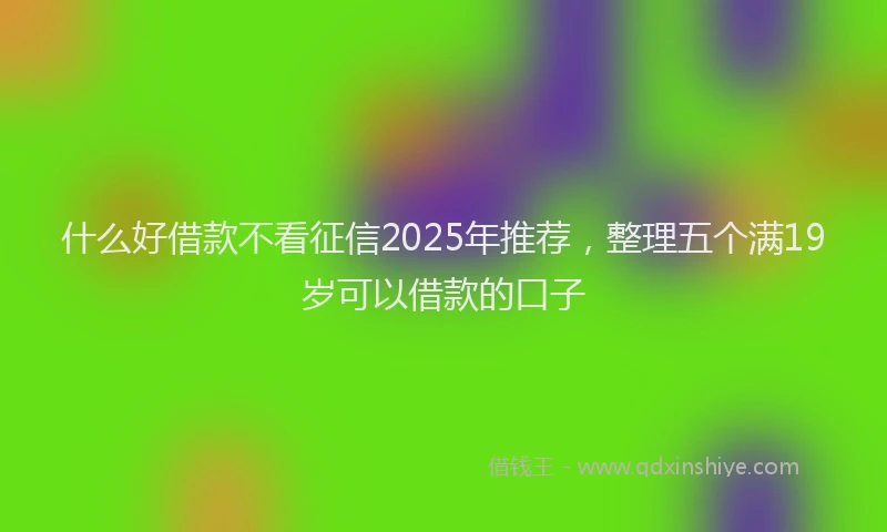 什么好借款不看征信2025年推荐，整理五个满19岁可以借款的口子