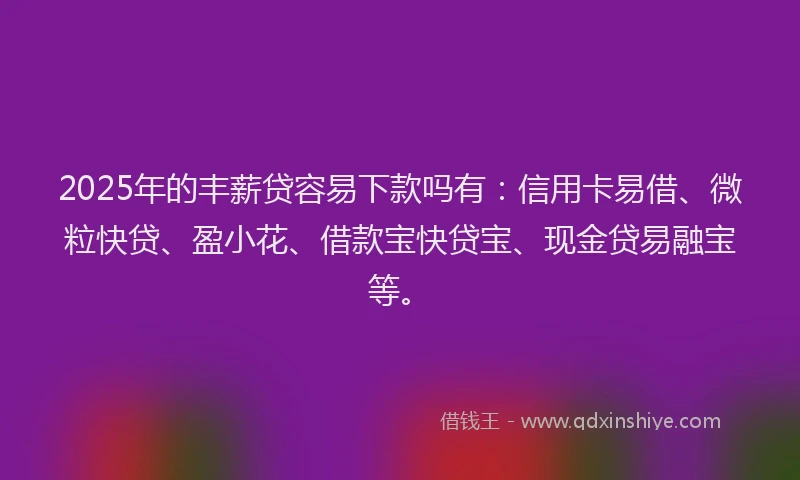 2025年的丰薪贷容易下款吗有：信用卡易借、微粒快贷、盈小花、借款宝快贷宝、现金贷易融宝等。