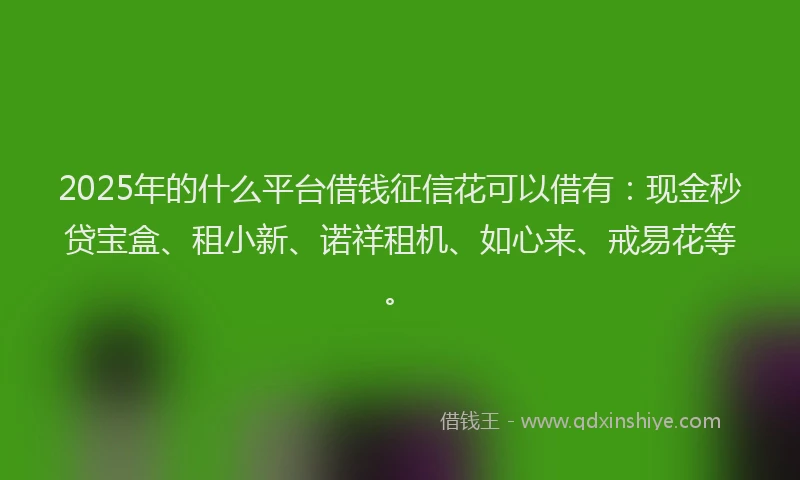 2025年的什么平台借钱征信花可以借有：现金秒贷宝盒、租小新、诺祥租机、如心来、戒易花等。