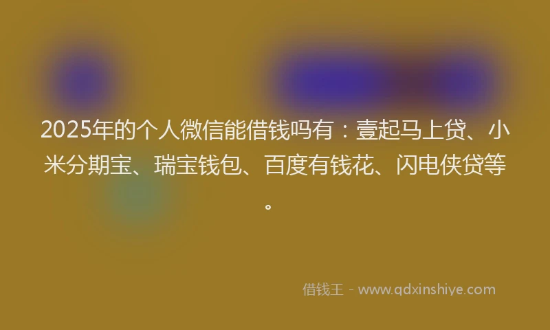 2025年的个人微信能借钱吗有：壹起马上贷、小米分期宝、瑞宝钱包、百度有钱花、闪电侠贷等。