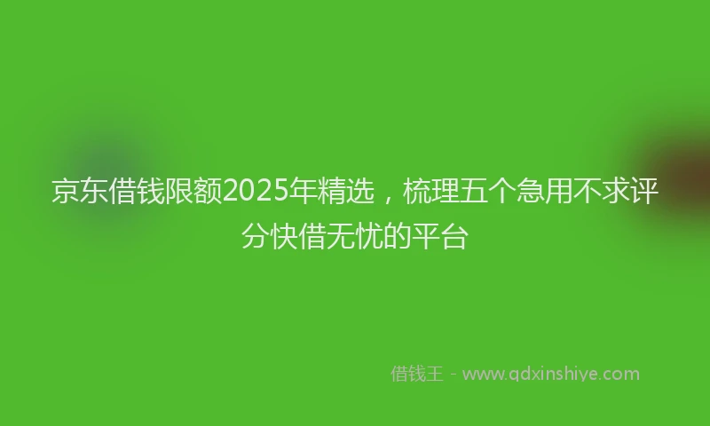 京东借钱限额2025年精选，梳理五个急用不求评分快借无忧的平台